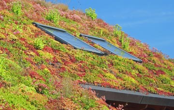 Ovingham living roof systems