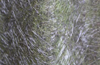 Ovingham fibreglass roof work